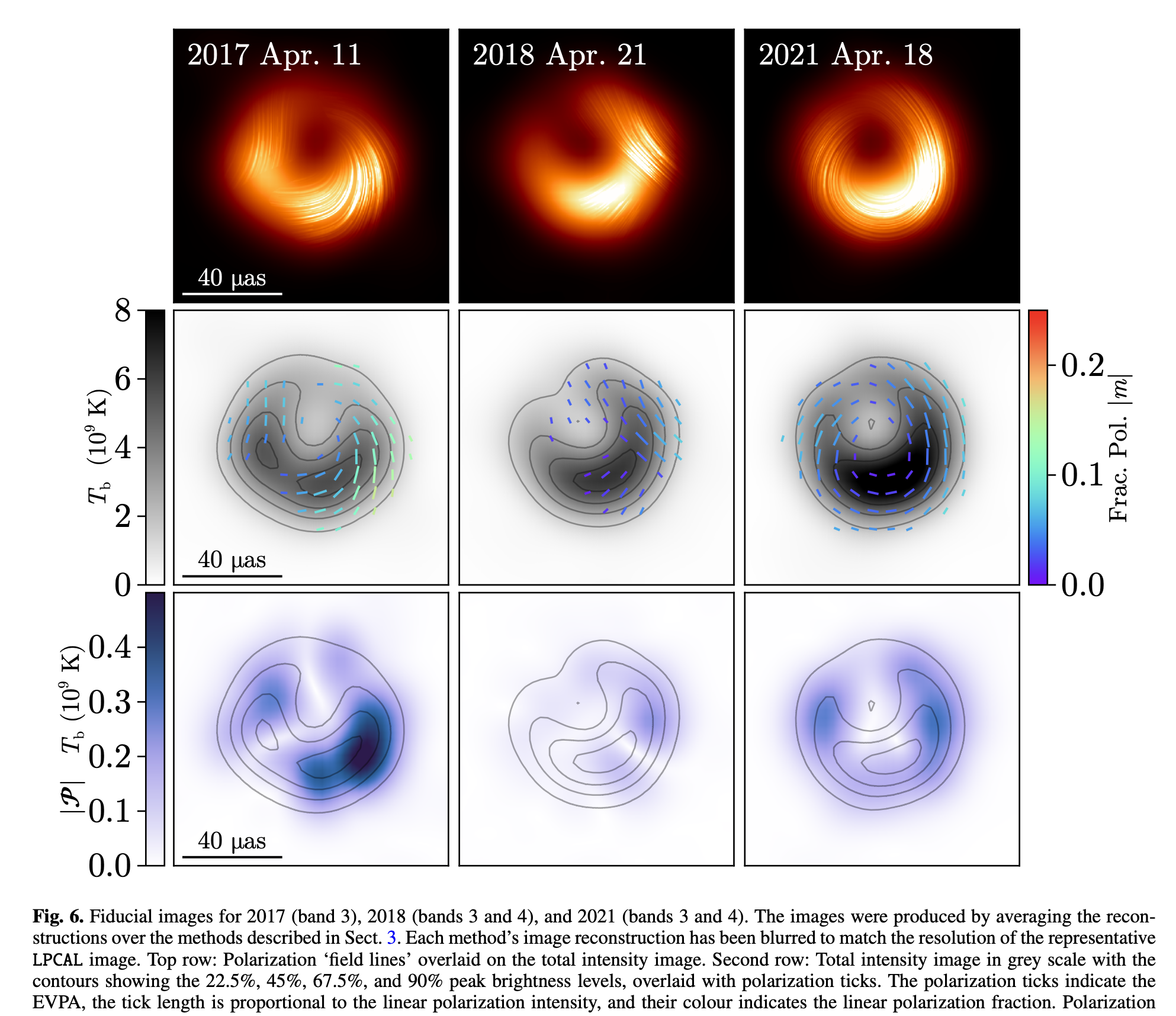 Fiducial images of M87* for 2017, 2018, and 2021 showing polarization and intensity