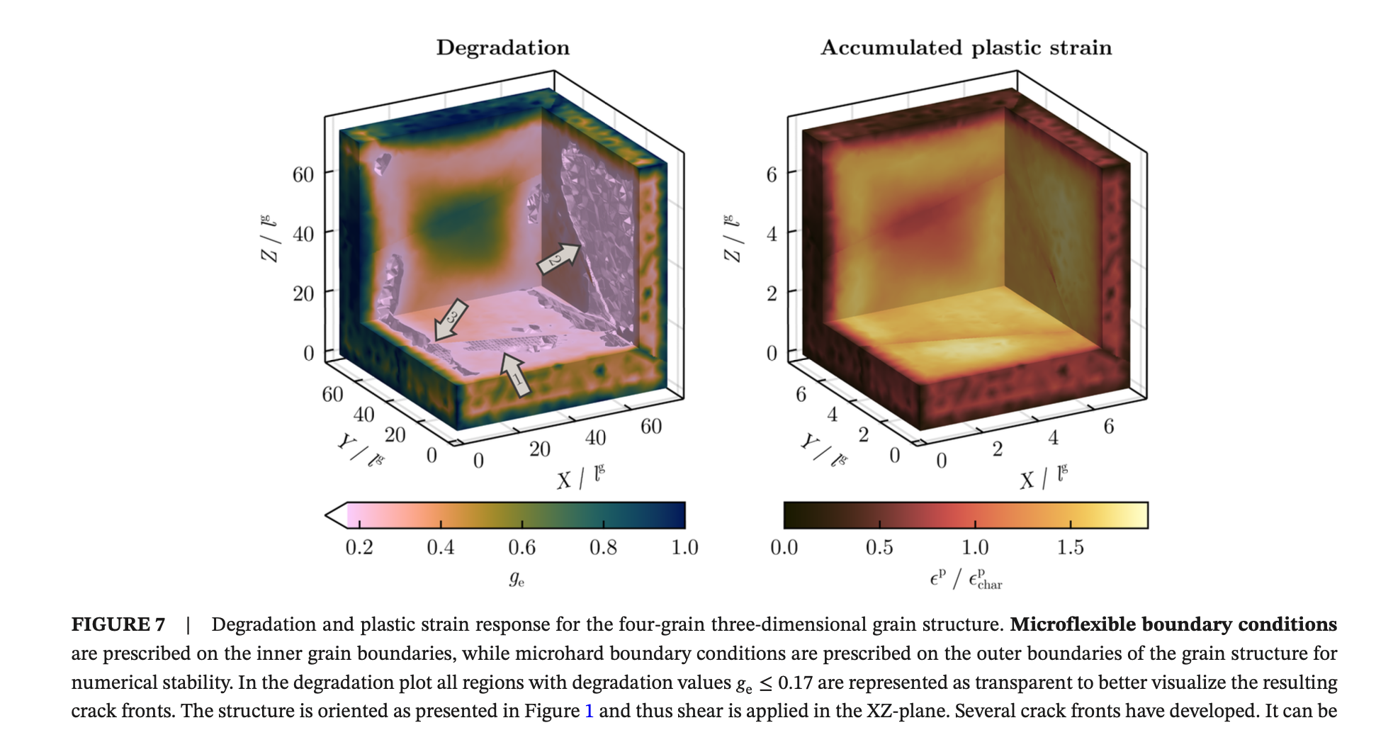 3D degradation and plastic strain in a four-grain polycrystal showing crack fronts across grain boundaries
