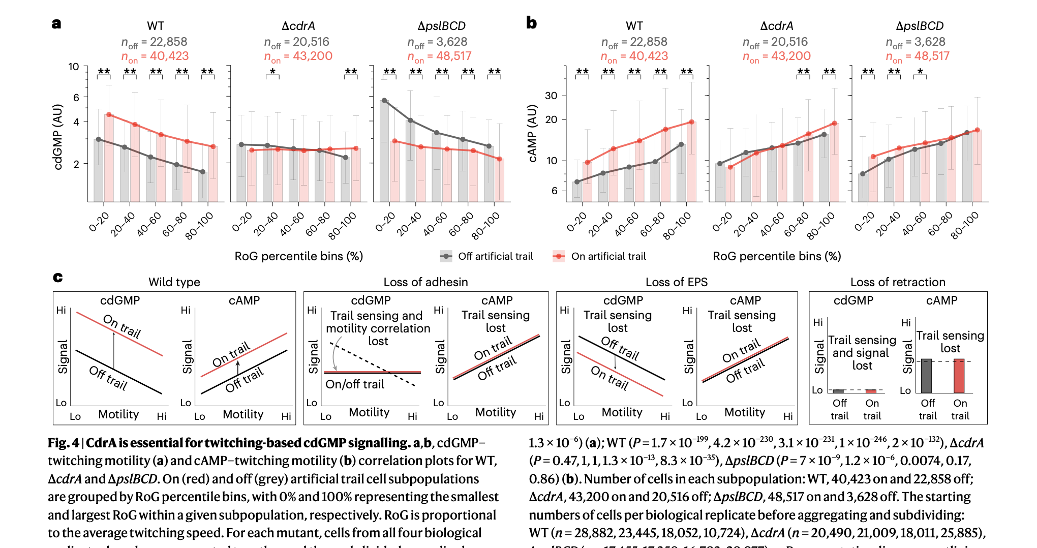 CdrA-mediated twitching-based cdGMP signalling: correlation plots for wild type and mutant strains